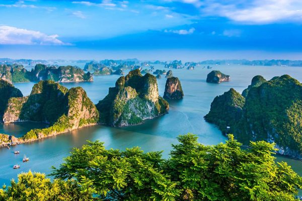 Halong Bay MICE Packages – 4 Days