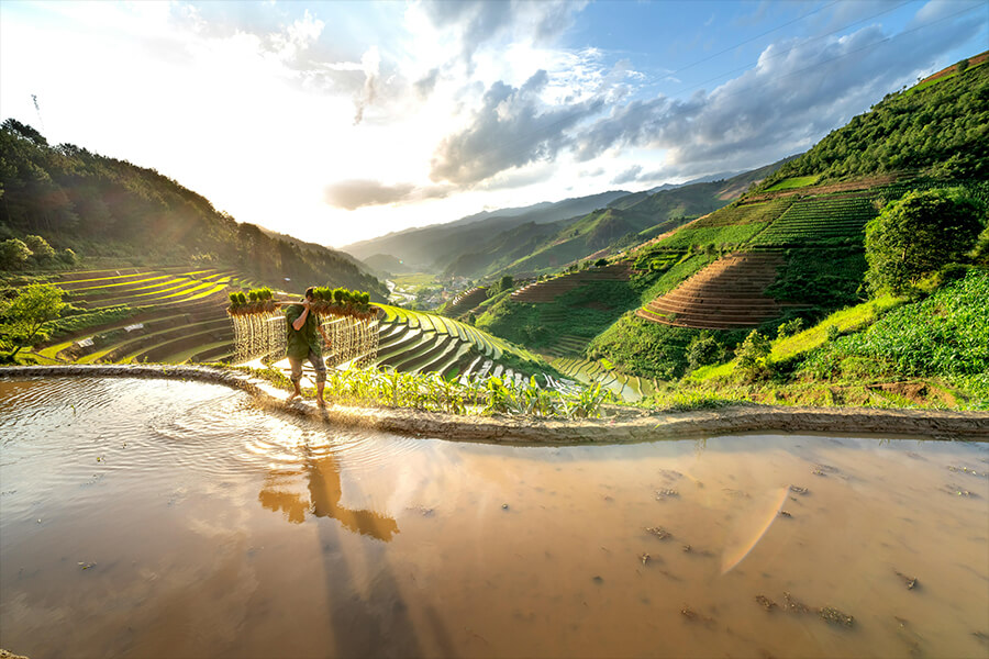 Sapa landscape in the morning